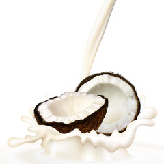 Realistic illustration of coconut and milk splashes. Vector.