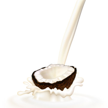 Realistic illustration of coconut and milk splashes. Vector.