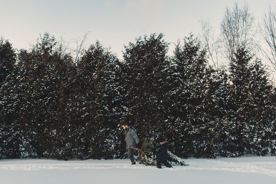 Man with son carrying Christmas tree in winter