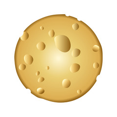 Realistic round cheese on white background