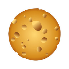 Realistic round cheese on white background