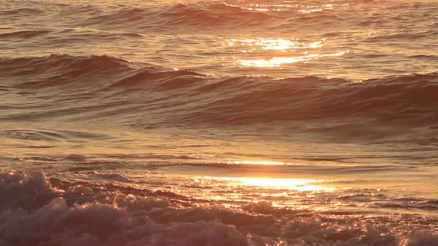 Sea sunset wave