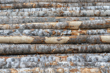 log walls