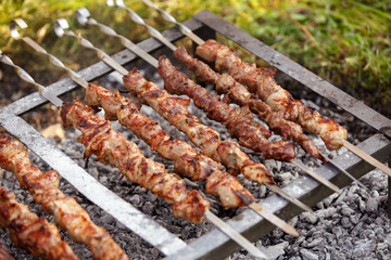 Delicious skewers of pork and lamb kebab are fried on a barbecue in nature. delicious shishkebab...