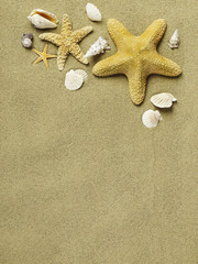 Fototapeta na wymiar Star fishes on sand