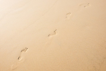 Fototapeta na wymiar Footprints on a sandy beach.