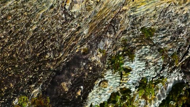 Duvardaki Suyun Yansıması