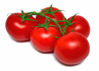 Tomaten
