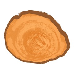 Illustration of annual rings on a wood slice.  Vector.