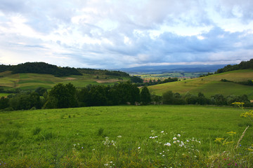 Fototapeta na wymiar landscape with blooming fields in summer, Dobrogea, Romania