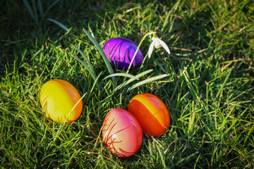 Easter eggs in the meadow, coloured eggs, snowdrop, christian holiday, April, orange, red, purpur, April, grass, green grass