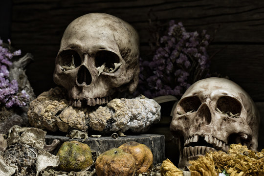 Two old skulls on pile of dried fruit and flower in dim light dark night