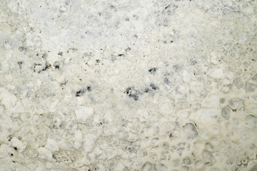 Close up white patchy background