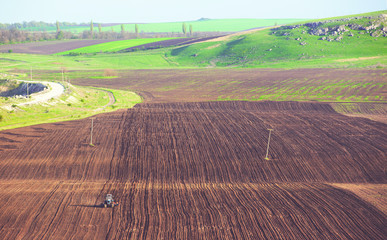 Fototapeta premium Tractor plows a field in the spring accompanied by rooks 