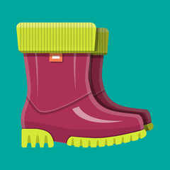 Rubber boots. Shoes for rain. Waterproof footwear.