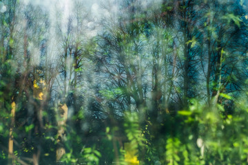Fototapeta na wymiar Green blur background of the Saint Petersburg botanical garden