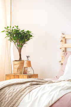 Nightstand with plant and lamp