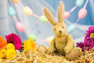 Easter bunny rabbit, fresh flowers, egg garland. Looking forward.
