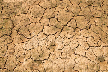 drought land and hot weather