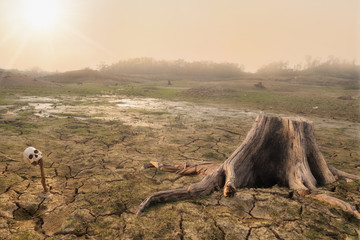 drought land and hot weatherdrought land and hot weather