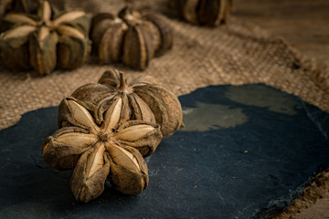 Sacha inchi nut