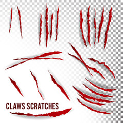 Claws Scratches Vector. Transparent Background. Realistic Illustration