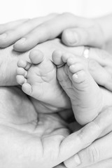 Babyfüße in Elternhänden schwarzweiß