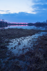 Obraz premium Plain overflooded by river in Hungary