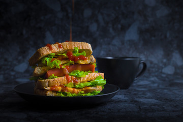 Sanwich chicken breast with cheese hotdog and vegetable (green oak) in dark background.