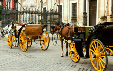 Horse carriage waiting in seville