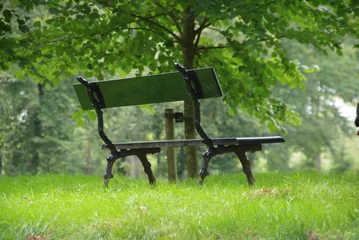 Foto auf Acrylglas Park bench © FEM