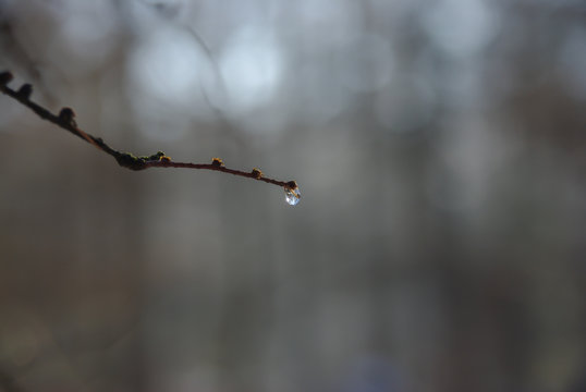 Water drop