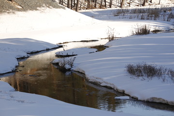 Obraz premium Nature, beauty, grove, trees