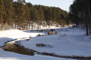 Nature, beauty, grove, trees