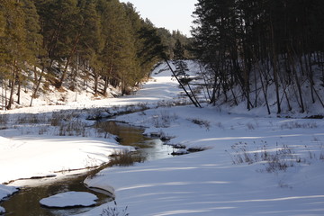 Nature, beauty, grove, trees