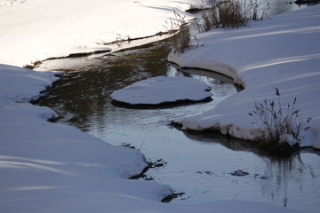 Nature, beauty, grove, trees