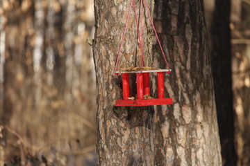 Fototapeta premium Nature, beauty, grove, trees