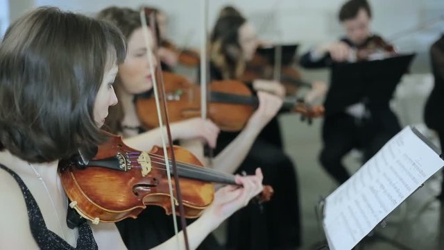 Symphonic orchestra play of violin