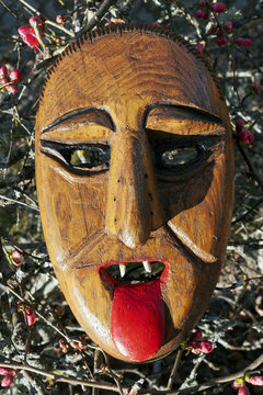 Lazarim village carnival in Portugal , Caretos of Salsas of Braganca