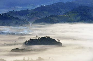 Mountain trail in fog