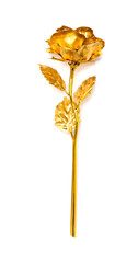 gold rose as a prensent on white background © Freer