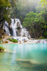 Fototapeta na wymiar Tat Kuang Si waterfall or Kouangxi at Luang Prabang, Laos