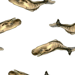 Seamless hand drawn pattern with sperm whales 
