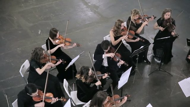 Musician playing classic music in the orchestra