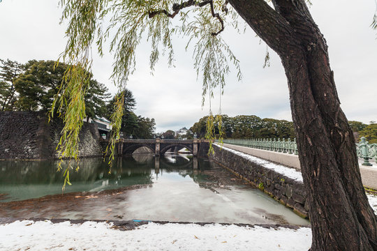 Snow at Imperial Palace in Tokyo