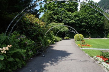 Park landscape  with lawn, flowers and bench