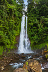Fototapeta na wymiar Gitgit Waterfall - Bali island Indonesia