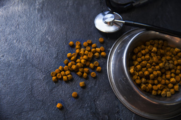 Pet’s food with stethoscope
