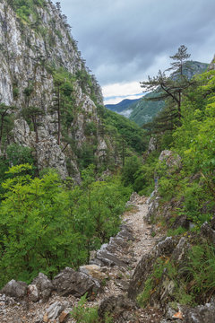 Tasnei Gorge