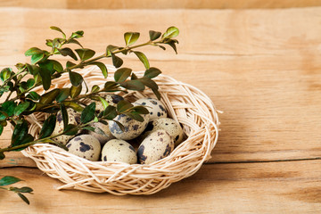 Colorful easter eggs